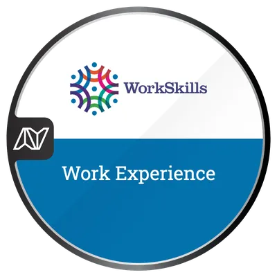 Work Experience Badge