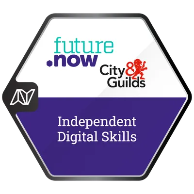 Independent Digital Skills