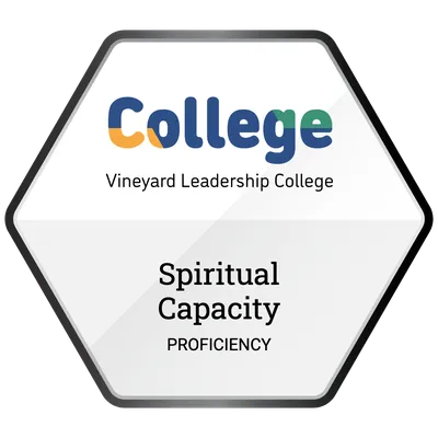 Spiritual and Emotional Capacity