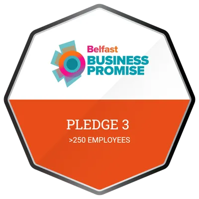 Pledge 3 (>250 Employees)