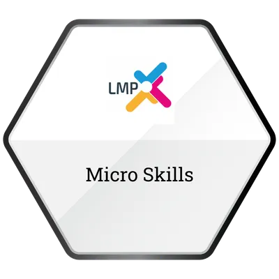 Micro Skills